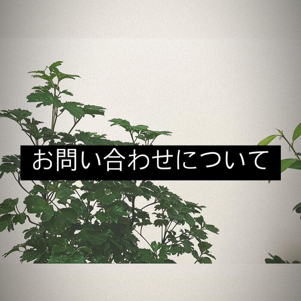 ブログ画像